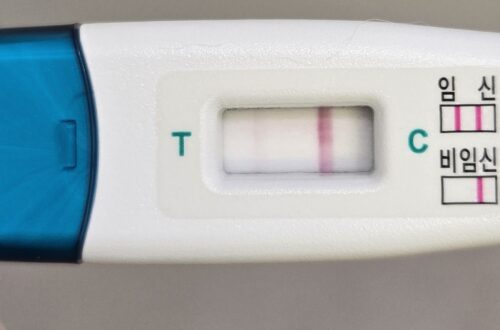 [임신일기-02] 첫번째 시도만에?? 임신이라구?? (임신극초기, 스마일베테기, 동아얼리임테기, 원포임테기) 임신일기2 1 1